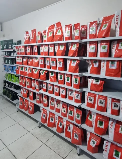 Sementes Sakata na Ponto Agrícola em Araçatuba
