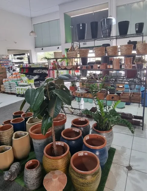 Vasos e plantas na Ponto Agrícola em Araçatuba